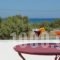 Paravatos studios_lowest prices_in_Apartment_Cyclades Islands_Schinousa_Schinousa Rest Areas