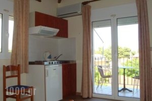 Alexander Apartments_lowest prices_in_Apartment_Ionian Islands_Kefalonia_Kefalonia'st Areas