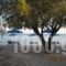 Mirto_lowest prices_in_Room_Aegean Islands_Samos_Samos Rest Areas