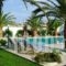 Vergas Hotel Malia_best deals_Hotel_Crete_Heraklion_Malia