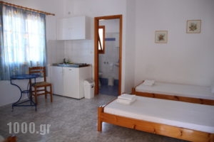 Oasis Rooms_lowest prices_in_Apartment_Cyclades Islands_Syros_Galissas