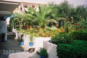 Tilemachos Studios_best prices_in_Apartment_Cyclades Islands_Milos_Adamas