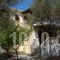 Areti Orfeas Apartments_best deals_Room_Ionian Islands_Zakinthos_Zakinthos Rest Areas