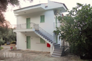 Studios Fraxi_accommodation_in_Apartment_Ionian Islands_Lefkada_Nikiana