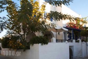 Artemis Hotel_holidays_in_Hotel_Cyclades Islands_Naxos_Agia Anna