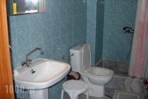Papachrysanthou Apartments_lowest prices_in_Apartment_Peloponesse_Ilia_Arkoudi