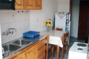 Papachrysanthou Apartments_travel_packages_in_Peloponesse_Ilia_Arkoudi