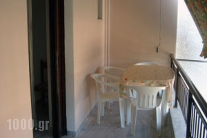 Papachrysanthou Apartments_best prices_in_Apartment_Peloponesse_Ilia_Arkoudi