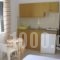 Argiro Apartments_best prices_in_Apartment_Crete_Rethymnon_Aghia Galini