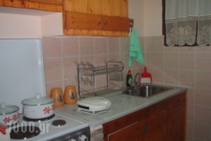Genari Apartments_holidays_in_Room_Peloponesse_Ilia_Pyrgos
