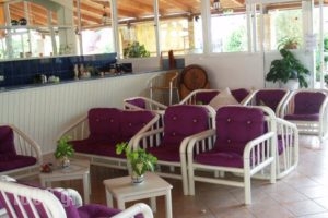 Hotel Papillon 1_lowest prices_in_Hotel_Ionian Islands_Zakinthos_Argasi