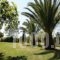 Thomas Bungalows-Houses_accommodation_in_Room_Ionian Islands_Corfu_Arillas