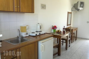 Irene Apartments & Studios_travel_packages_in_Dodekanessos Islands_Kos_Kos Chora