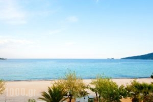 Fedra Hotel_travel_packages_in_Aegean Islands_Thasos_Thasos Chora
