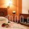 Artemis Hotel_holidays_in_Hotel_Central Greece_Fokida_Delfi