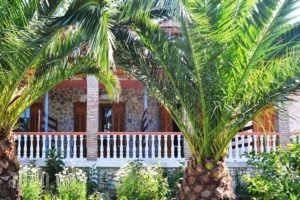 Lofos Studios_best deals_Apartment_Ionian Islands_Zakinthos_Zakinthos Rest Areas