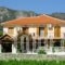 Angela Apartments_travel_packages_in_Aegean Islands_Samos_Kokkari