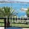 Arocaria Apartments_lowest prices_in_Apartment_Crete_Chania_Chania City