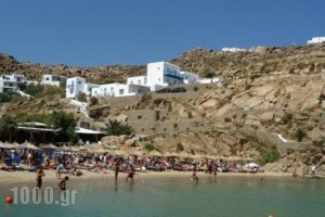 Super Paradise Rooms_travel_packages_in_Cyclades Islands_Mykonos_Mykonos Chora