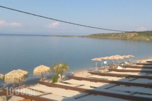 9 Musses Studios_accommodation_in_Hotel_Aegean Islands_Lesvos_Polihnit's