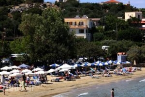 Ammoudara Beach Hotel Apartments_best prices_in_Apartment_Crete_Lasithi_Aghios Nikolaos