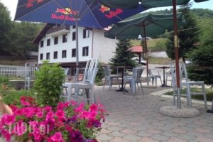 Naousa Natura Mountain Sports_best prices_in_Hotel_Macedonia_Imathia_Naousa