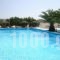 Anthoula Hotel_accommodation_in_Hotel_Dodekanessos Islands_Kos_Kos Rest Areas