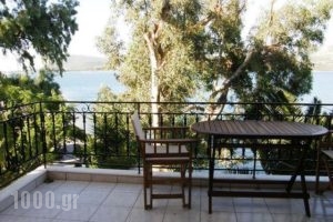 Tzeni Villa_best deals_Villa_Ionian Islands_Lefkada_Vasiliki