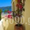 Kalypso studios and apartments_lowest prices_in_Apartment_Ionian Islands_Kefalonia_Kefalonia'st Areas