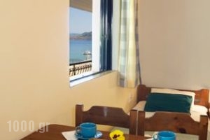 Kalypso studios and apartments_best deals_Apartment_Ionian Islands_Kefalonia_Kefalonia'st Areas