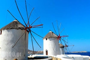 Mykonos Tourist guide, catalog and travel guide, catalogue for Greece, 1000.gr