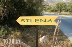 Silena in Athens, Attica, Central Greece