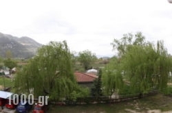 Sakis Pension in Ioannina City, Ioannina, Epirus