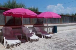Pension Tzitzifies_lowest prices_in_Room_Macedonia_Thessaloniki_Perea
