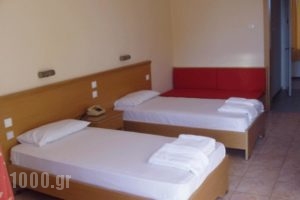 Hotel Aphroditi_lowest prices_in_Hotel_Macedonia_Halkidiki_Pefkochori