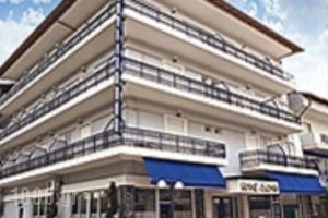 Adonis_accommodation_in_Hotel_Macedonia_Pella_Skidra