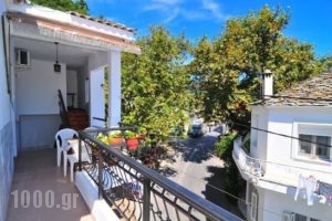 Hotel Elvetia_lowest prices_in_Hotel_Aegean Islands_Thasos_Panagia