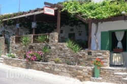 Yannis in Samos Rest Areas, Samos, Aegean Islands