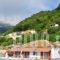 Hotel Elvetia_best deals_Hotel_Aegean Islands_Thasos_Panagia