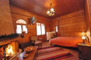 Guesthouse Alonistaina_lowest prices_in_Hotel_Peloponesse_Arcadia_Stemnitsa