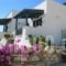 Naxos Filoxenia_lowest prices_in_Apartment_Ionian Islands_Kefalonia_Aghia Efimia