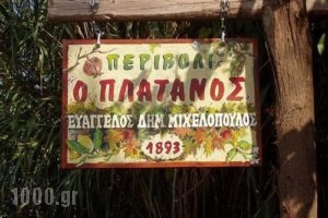 Naxos Filoxenia_best deals_Apartment_Ionian Islands_Kefalonia_Aghia Efimia