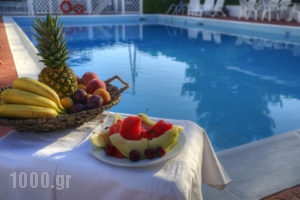 Taxiarhis_lowest prices_in_Hotel_Peloponesse_Ilia_Vranas