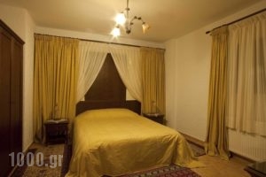 Pindos Palace_holidays_in_Hotel_Macedonia_Grevena_Lavdas