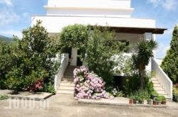 Villa Dina in Corfu Rest Areas, Corfu, Ionian Islands
