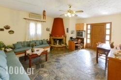 Bellino Apartments in Mouresi, Magnesia, Thessaly