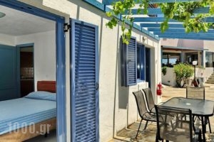 Palatia Village Hotel Apartments_lowest prices_in_Apartment_Crete_Heraklion_Chersonisos
