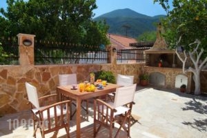 Venezia Apartments_lowest prices_in_Apartment_Ionian Islands_Kefalonia_Kefalonia'st Areas