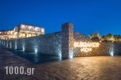 Elegance Luxury Executive Suites in Naxos Chora, Naxos, Cyclades Islands
