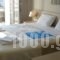 Hotel Mycenae_accommodation_in_Hotel_Peloponesse_Argolida_Argos